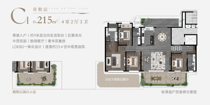10约215㎡户型：院藏花香 奢享雅居.png