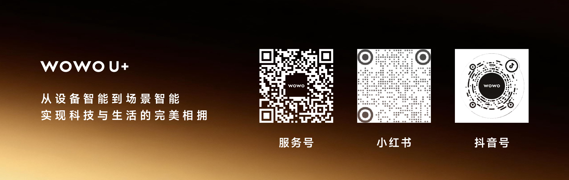 底部图.jpg 底部图.jpg